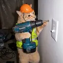 HANDYCAT