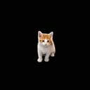 ᵗⁱⁿʸ