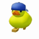 Duck