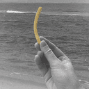 Fry