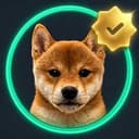 VDOG