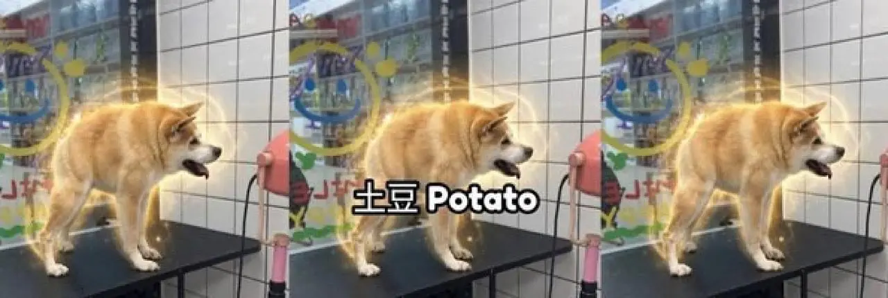 potato Banner