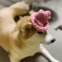 SIF