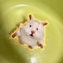 Hamunigiri