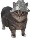PSYOPCAT