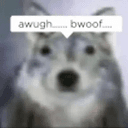 wolfchua