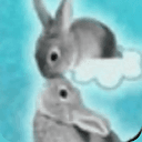 RABBITS