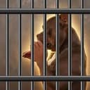 FREE DUKES
