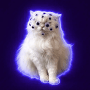 Fomocat