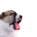 :p