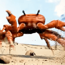 CRABPARTY
