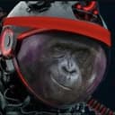 SPACEAPE