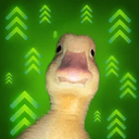 DIP