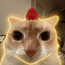 StrawCat