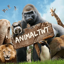 animaltwit