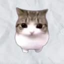 Meowpin