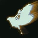 PIDGE