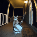 BANJO