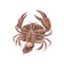 PARASITE