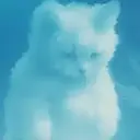 AIRCAT