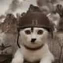 Koma