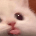 bleh
