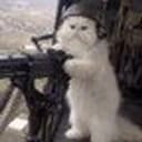 TRENCHCAT