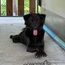 MONOONAO