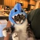 Mochi