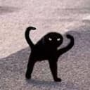 rVoid