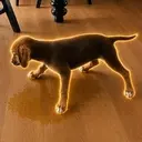 TPD