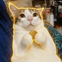 YOYO