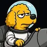 POODLE