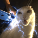 Zapcat