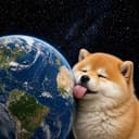 lickingdog