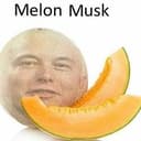 Melon musk