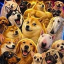 DOGUST