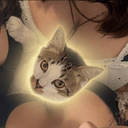 boofcat