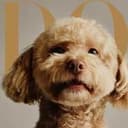 WINNIE