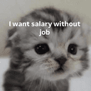 SALARYCAT