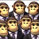 chimps