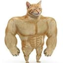 SWOLECAT