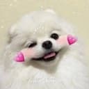 AEGYO