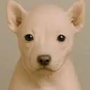 Rawdog