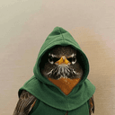 RIF