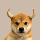 bulldog