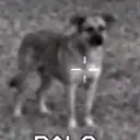 BEN
