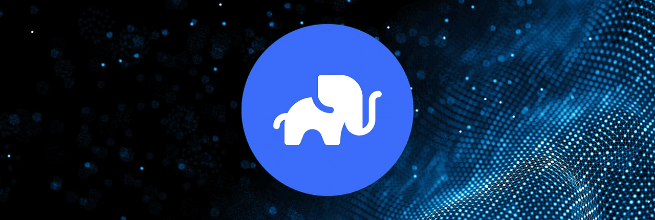 Wrapped Elephant Banner