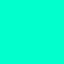 OLO