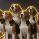 Beaglegate
